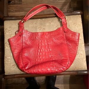 Red Brahmin